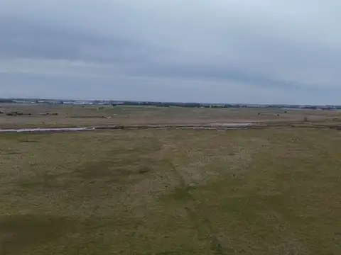 CAMPO 72 HAS ZONA BRANDSEN  AUTODROMO LA PLATA