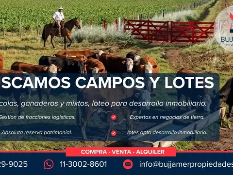 BUSCAMOS CAMPOS Y LOTES | Expertos en Negocios de Tierra