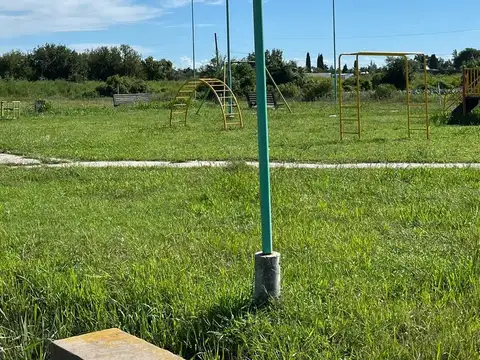 Baldaccini al 6600