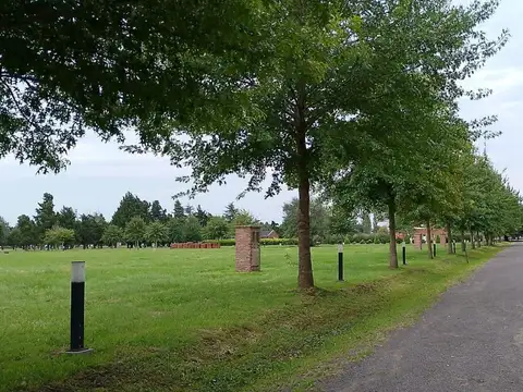 Terreno en Venta 50  mts Fondo