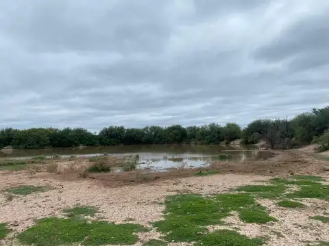 Campo en venta - Cuadro Nacional -San Rafael