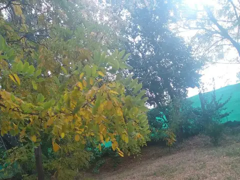 Terreno en Venta de 26000,0 m2