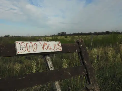 Terreno en Venta 129  mts Fondo