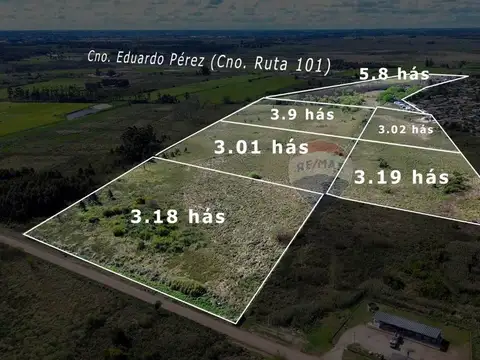 VENTA DE TERRENO DE 22 HÁS - EL PINAR NORTE
