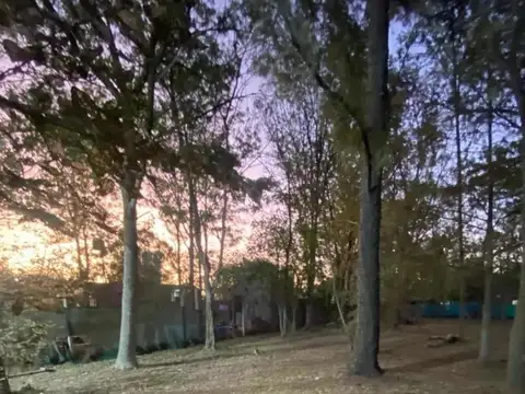Terreno en Venta de 257,0 m2