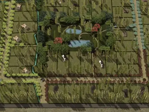 Lote Uspallata - 4 elementos