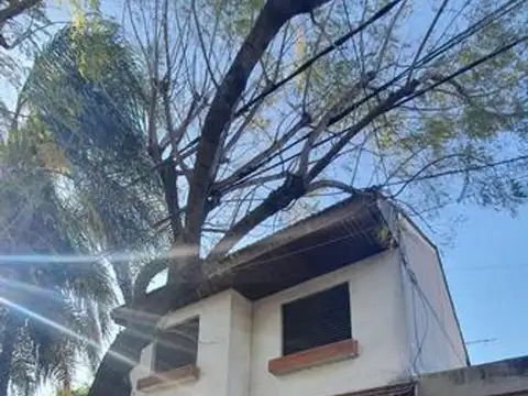 General Juan Lavalleja 800