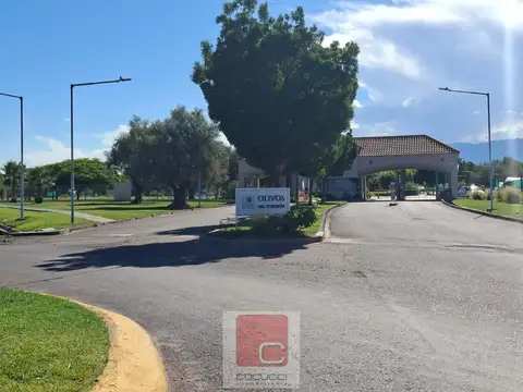 Barrio Olivos del Torreón   Mzna G Lote 12