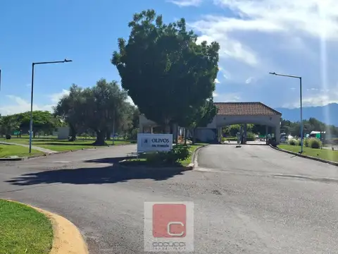 Terreno en Venta en Luzuriaga, USD 42.500