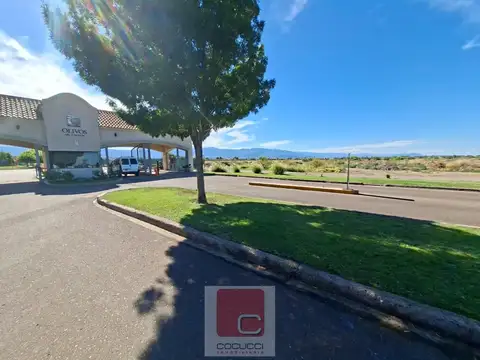 Terreno en Venta 33  mts Fondo