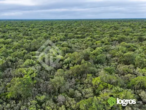 Campo ganadero con base agrícola de 2780 ha | Ruta Provincial 41, Anta | Salta