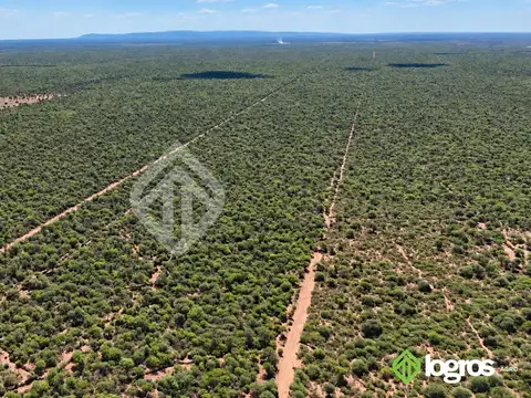 Campo ganadero con base agrícola de 2780 ha | Ruta Provincial 41, Anta | Salta