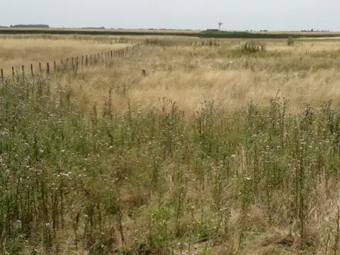 Ruta 11