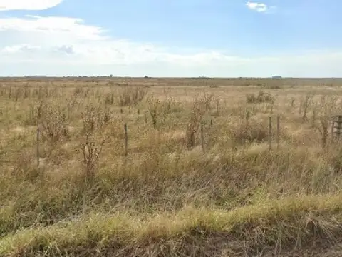 Ruta 11