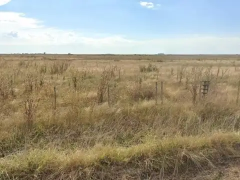 Ruta 11