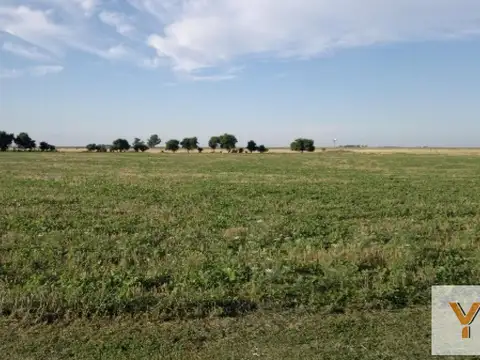 Ruta 11