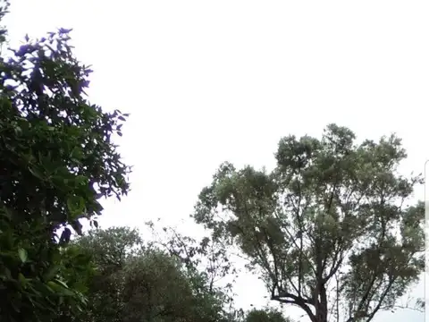 Terreno en Venta 10  mts Frente