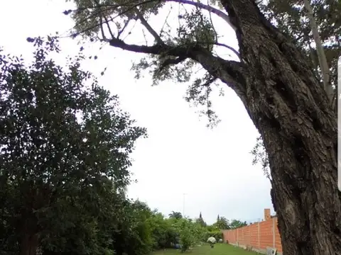 Terreno en Venta 62  mts Fondo