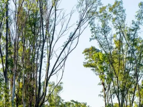 Terreno en Venta de 380,0 m2