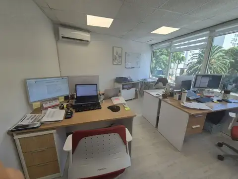 Oficina en Alquiler en Pocitos , USD 1.500