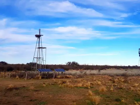 Campo en Venta Ganadero