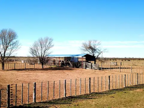 5.500 Has. Campo Ganadero en Unión, San Luis