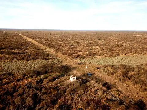 Campo en Venta de 5.500  ha