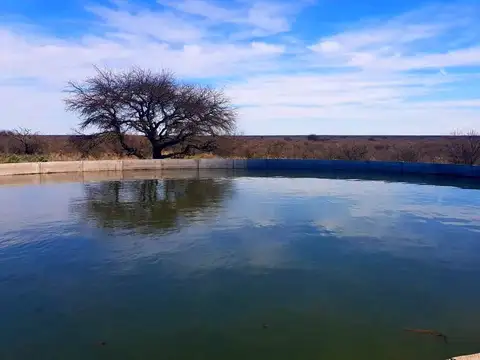 5.500 Has. Campo Ganadero en Unión, San Luis