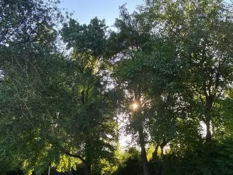 Terreno en Venta en Bella Vista, USD 122.000