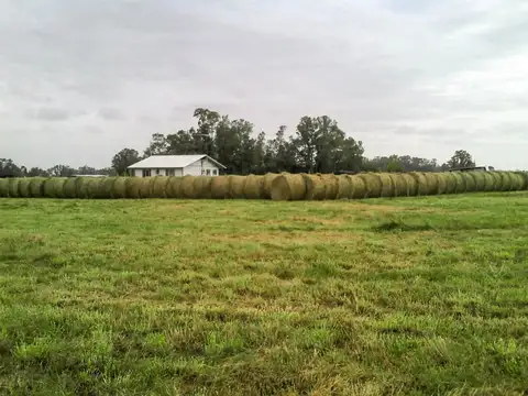 Campo en Venta Chacra