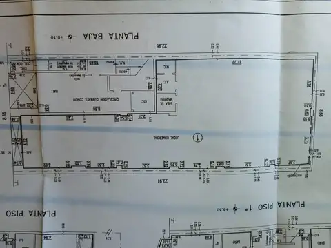Avenida Lisandro De La Torre 100