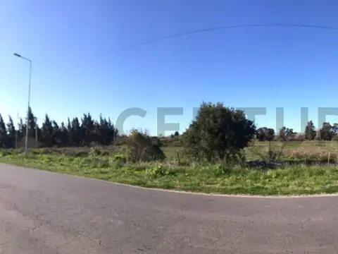 Av Montevideo y 105 , Piso 0