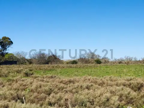 Hectáreas en venta en Los Talas - Berisso