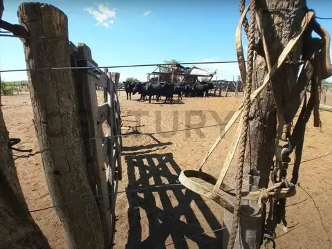 Campo en Venta de 1,30  ha