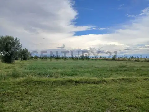 Campo en Venta de 16  ha