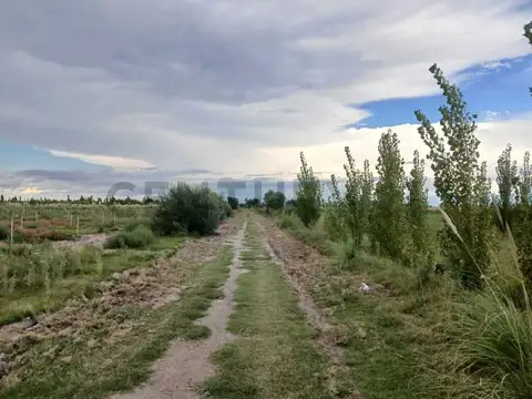VENTA FINCA DE 16 HA, EN RUTA PCIAL 165, SAN RAFAEL, MENDOZA