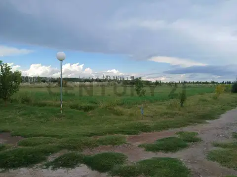 RUTA 165, CAÑADA SECA , Piso 0