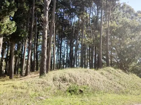 Costa Esmeralda, Barrio Deportivo 2