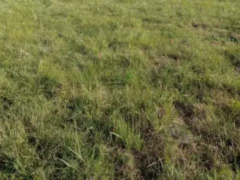 Terreno en venta - 3310.8Mts2 - Coronel Hughes, Colón, Entre Ríos