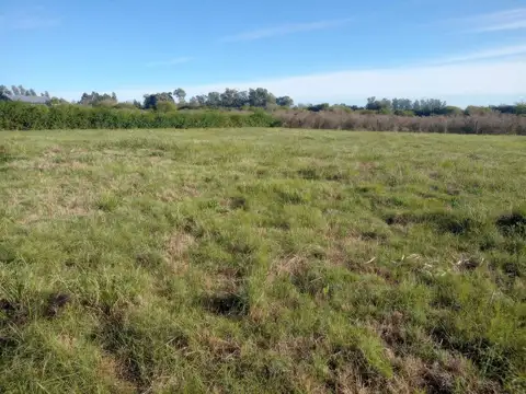 Terreno en Venta de 3310,0 m2