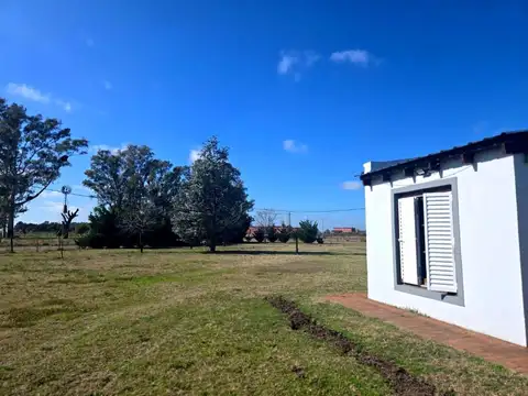 Chacra en Venta - San Antonio de Areco