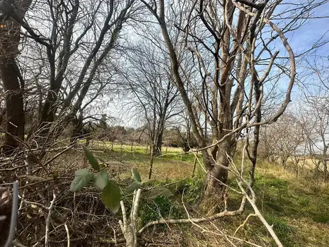 Terreno en Venta 80  mts Fondo