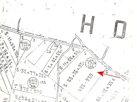 CANAL 5 - DELTA DEL PARANA