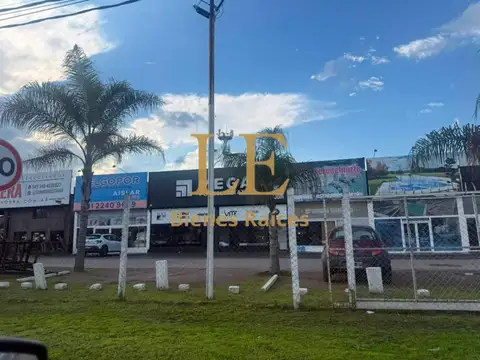 Colectora Este Ramal Escobar 2200