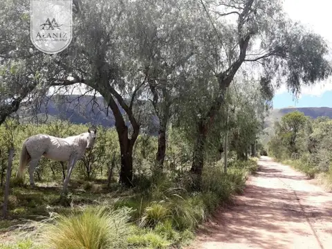 Terreno en Venta de 3000,0 m2