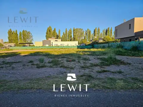 Terreno en Venta 42  mts Fondo