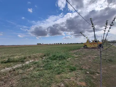 Terreno en Venta 40  mts Fondo