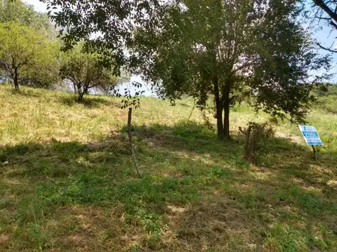 Terreno en Venta 65  mts Fondo