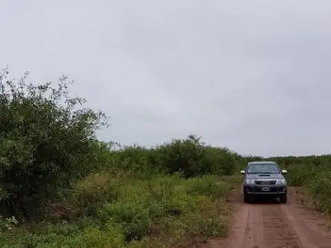 Venta CAMPO DE 9.700 HECTÁREAS - SANTIAGO DEL ESTERO