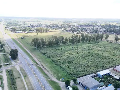 Terreno en Alquiler en Zárate, USD 6.000